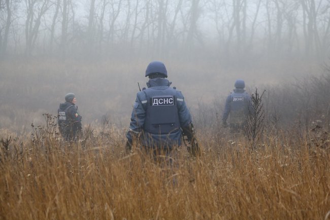 На ділянці розведення сил Петрівське-Богданівка розміновано 17,6 га, - ДСНС 02