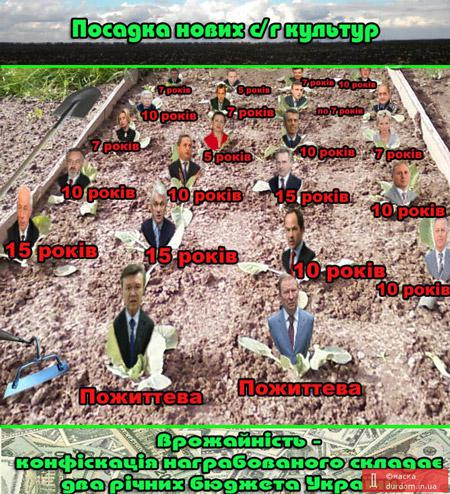Весна. Травень. Лани. Посадка.