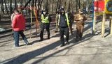 "Не всі кияни усвідомили реальність загрози": Комунальні служби з правоохоронцями контролюють у Києві дотримання карантину. ФОТОрепортаж