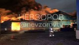 В Ленинградской области РФ горит предприятие: пожар охватил 5900 кв. м