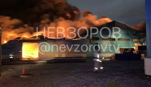 В Ленинградской области РФ горит предприятие: пожар охватил 5900 кв. м