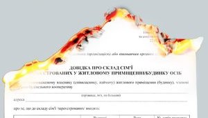 Справка о составе семьи в Украине отменена, - глава Минцифры Федоров