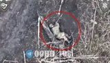 Окупант застрелився в окопі. ВIДЕО безпілотника