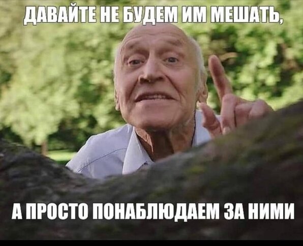 Гойда! Поход Пригожина на Москву в ФОТОжабах 12