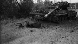 армия выставка иловайск