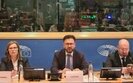 Украинские художники в плену