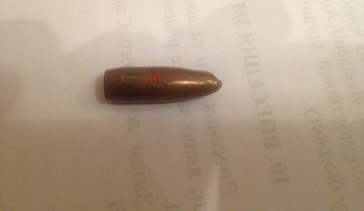 New Bullet Attached to Investigation of Maidan Assassinations. People Were Shot Dead at Point Blank Range. General Prosecutor’s Office Still Has Not Collected All Evidence - Butusov. PHOTOS