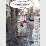 Ватная реакция