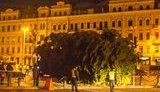 Головну новорічну ялинку привезли на Софійську площу в Київ. ФОТОрепортаж