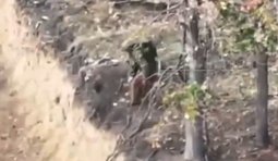 росіянин біжить переліском