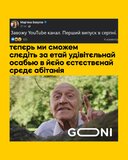 Книжка, мабуть, не пішла...