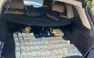 Кому везли $700 тыс. "кэша" с таможни и кого за это не посадят?