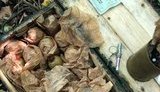 Біля військової частини в Бердичеві виявлено схованку з 2 ящиками бойових гранат, - СБУ. ФОТО