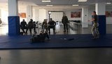 канада всу обучение