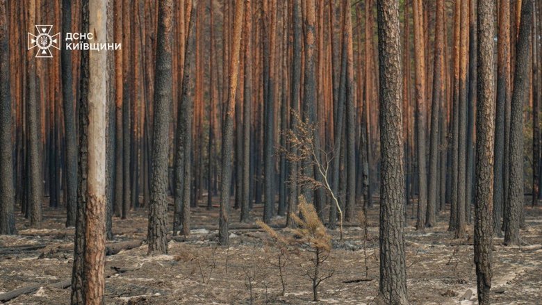 пожежа у чорнобилі