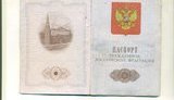 предатель госизмена