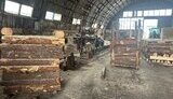 forest fraud scheme exposed in Volyn region