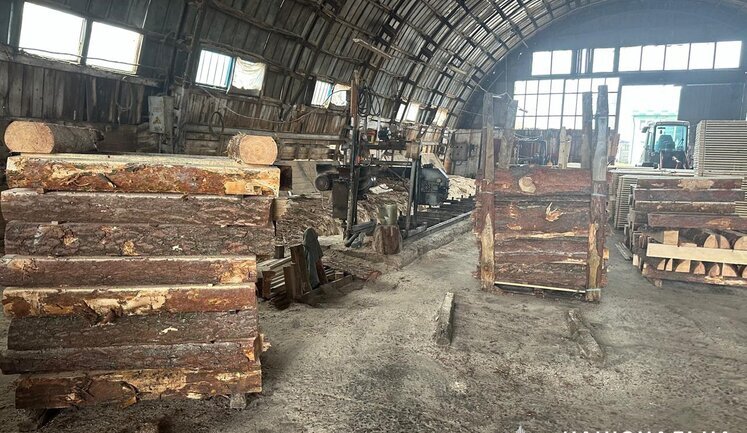 Large-scale timber theft scheme exposed in Volyn region: organiser commited suicide. PHOTOS