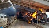Consequences of Russian shelling of a farm in the Izyum district