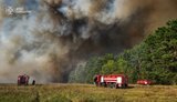 Enemy sabotage caused a large-scale fire in the Shevchenkivskyi Forestry in the Kyiv region