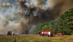 70 hectares of forest were on fire in Kyiv region due to Russian act of sabotage, - state-owned enterprise "Forests of Ukraine". PHOTO