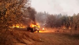 Российские войска обстреляли из артиллерии Трехизбенку, повреждены 5 домов. ФОТОрепортаж