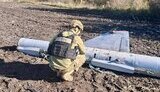 На Чернігівщини виявили нерозірвану крилату ракету