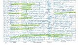 партия регионов бухгалтерия черная