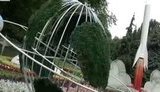 выставка цветов