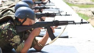 Пилотный проект теробороны по эстонской модели запустят на Херсонщене