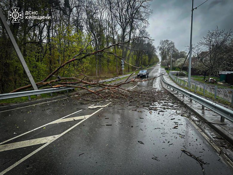 В Украине из-за непогоды погибли два человека, еще двое получили травмы