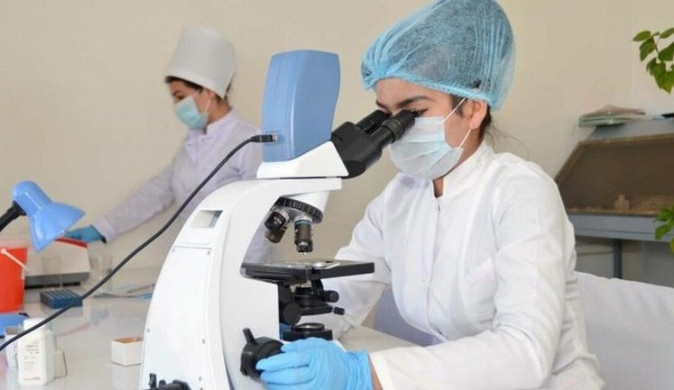 Санэпидемслужбу разрушили, но функцию надзора за инфекционными болезнями так никому и не передали, - Голубовская