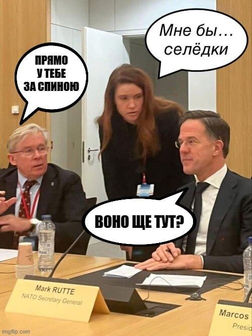 фотожаба