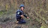 сапер