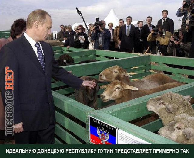путин