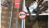 Зачепер у Києві від удару струмом впав із даху електрички на залізничні колії. ФОТО