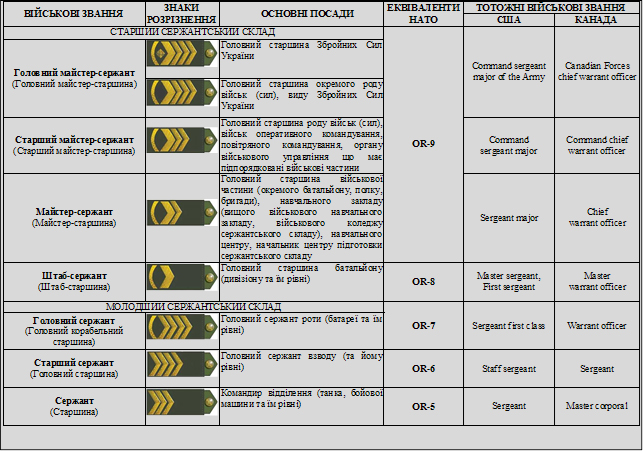 Рік по тому. Що змінилося в системі підготовки українських сержантів 02 Рік по тому. Що змінилося в системі підготовки українських сержантів 02
