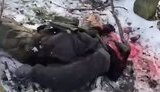 донбас,рф,армія