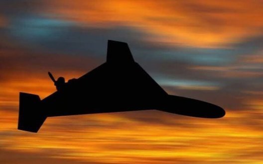 Мешканець Київщини у полі натрапив на бойову частину "Шахеда"