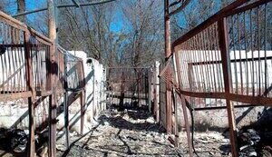 ПРИТУЛОК У ГОСТОМЕЛІ – ОКУПАЦІЯ, ОБСТРІЛИ ТА ВІДСУТНІСТЬ ВОДИ