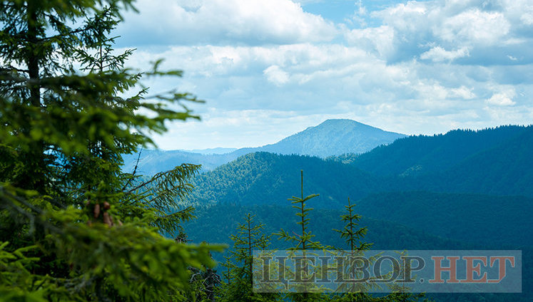 Львівська облрада дозволила віддати 176 гектарів лісу під будівництво курорту з держпідтримкою у Карпатах