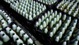 Литва создаст завод по производству боеприпасов для ВСУ: производство начнется в 2027 году