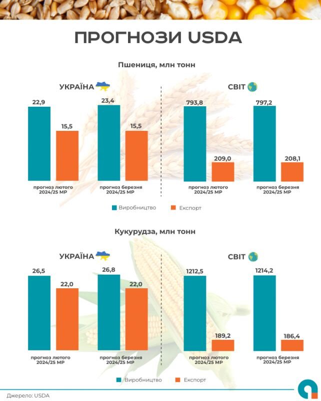 США збільшили прогноз урожаю пшениці та кукурудзи в Україні