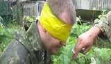 агеев
