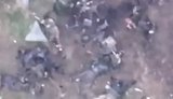 Soldiers of the Armed Forces of Ukraine have released a video of dead invaders in the Dobropillia direction.
