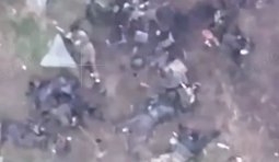 Бійці Збройних Сил України оприлюднили відео загиблих окупантів на Добропільському напрямку
