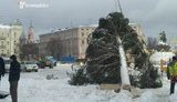 киев елка