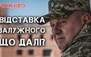 залужний