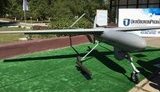 укроборонпром горлица