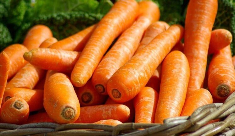 В Україні почала дорожчати морква. За тиждень ціни підскочили на 12%